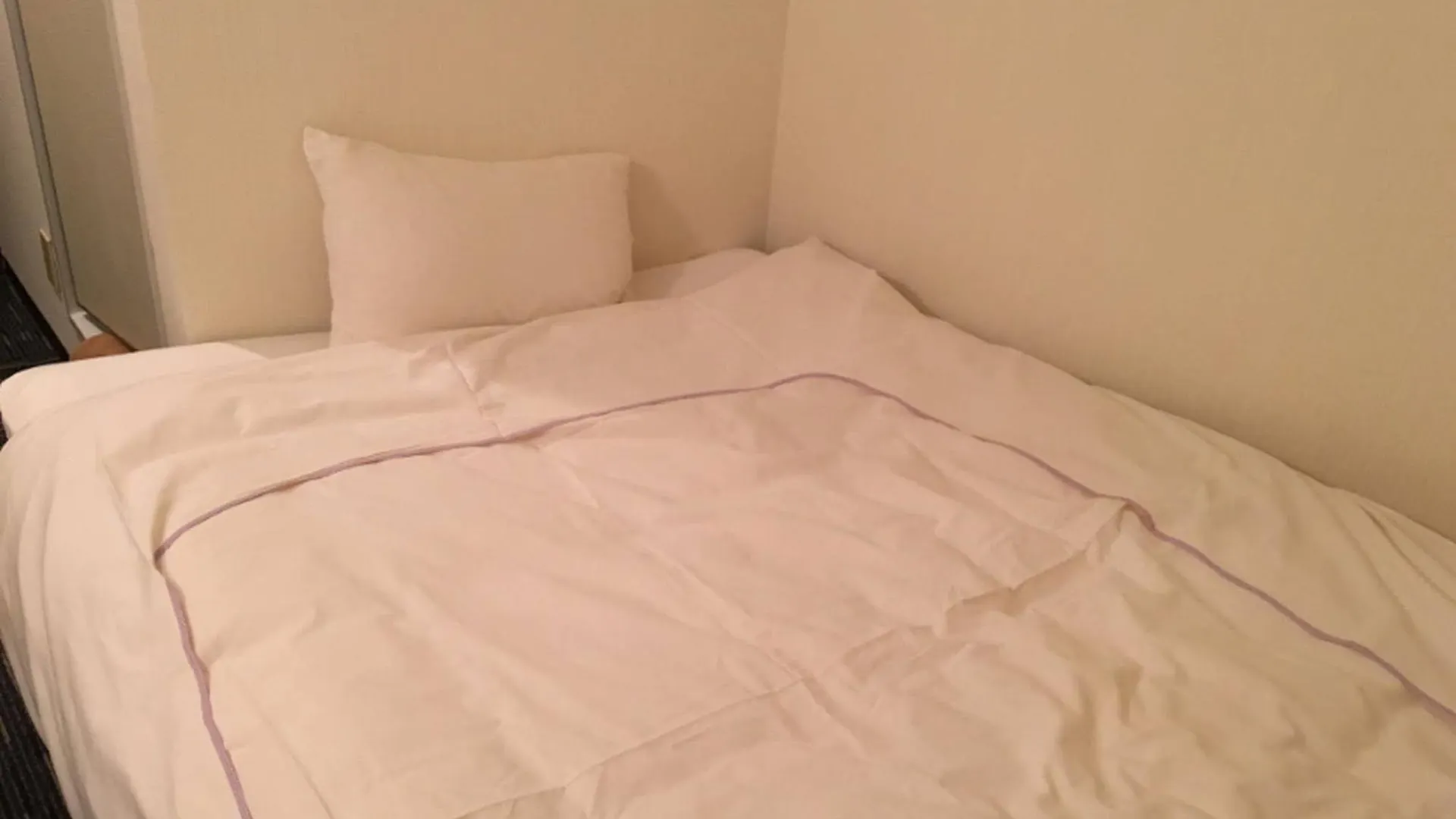 **  Ikebukuro Royal Hotel Higashiguchi Tokyo prefektur Japan